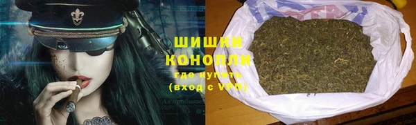 трава Белокуриха