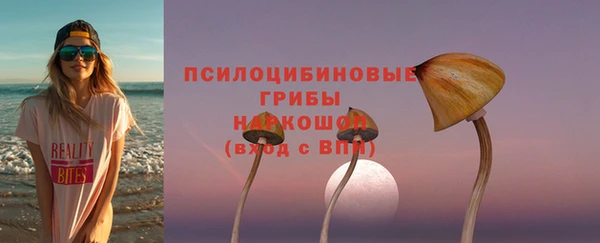 трава Белокуриха